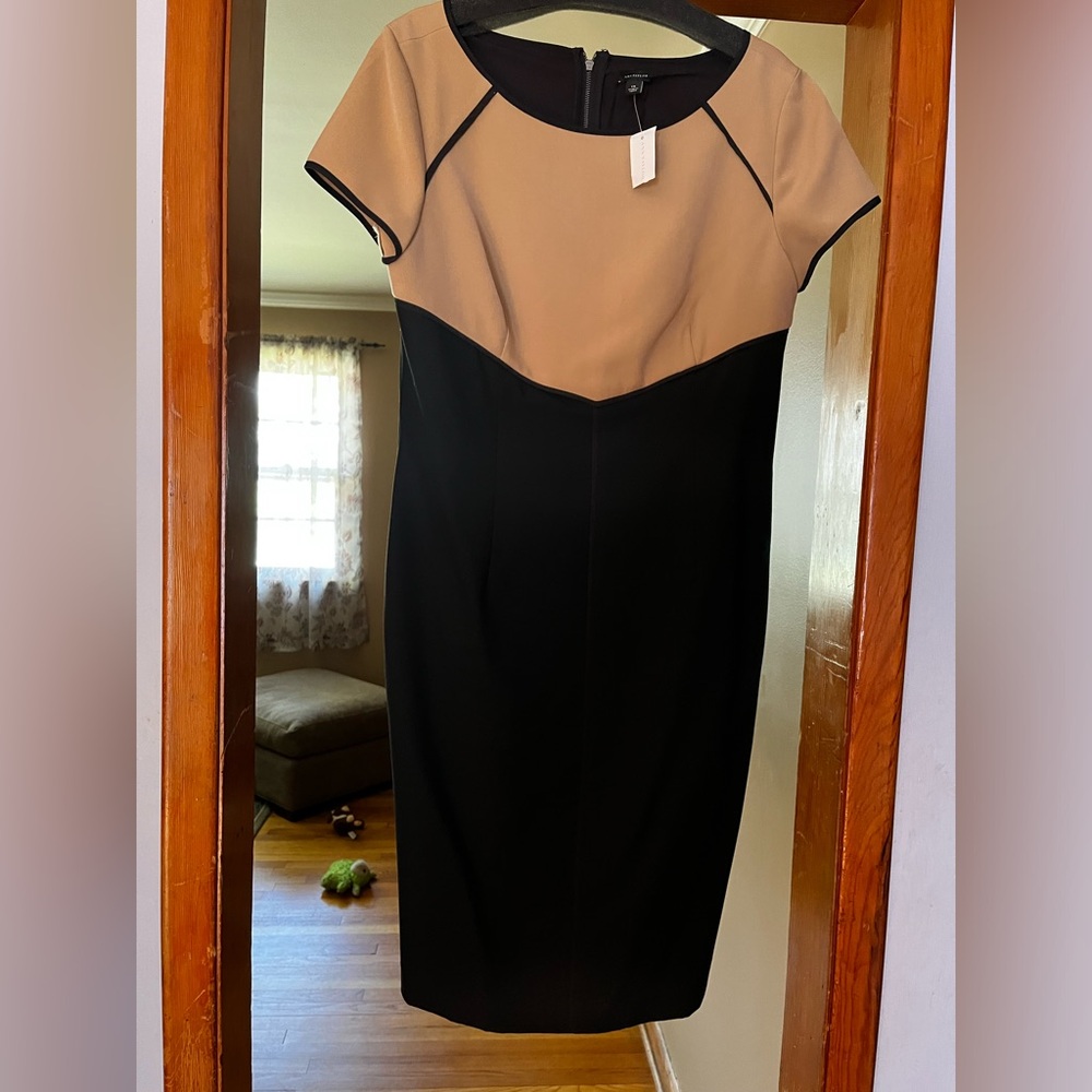 Dresses - Picture 2 of 8
